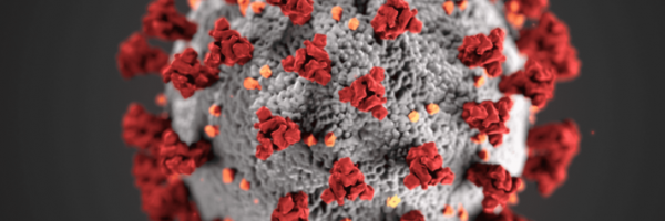 HIGH CONVERTING (97)